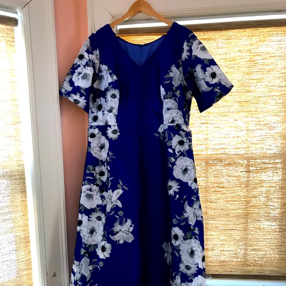 Beautiful size 22W, fully lined (except for sleeves) A-line style, formal dress.